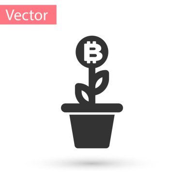 Beyaz arka plan üzerinde izole pot simgesi gri Bitcoin bitki. İş yatırım büyüme kavramı. Blockchain teknoloji, cryptocurrency incelemesi. Vektör çizim