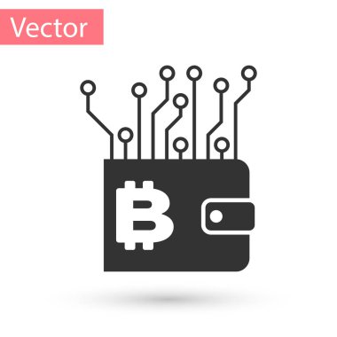 Gri Cryptocurrency cüzdan simgesi beyaz arka plan üzerinde izole. M-cüzdan ve bitcoin oturum açın. Araştırma kavramı. Ödeme, para, para simgesi. Vektör çizim