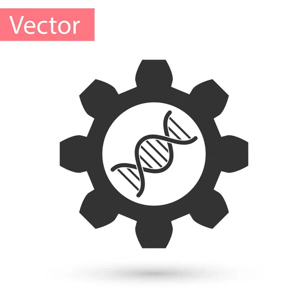 Icône de génie génétique grise isolée sur fond blanc. Analyse d'ADN, tests génétiques, clonage, tests de paternité. Illustration vectorielle — Image vectorielle