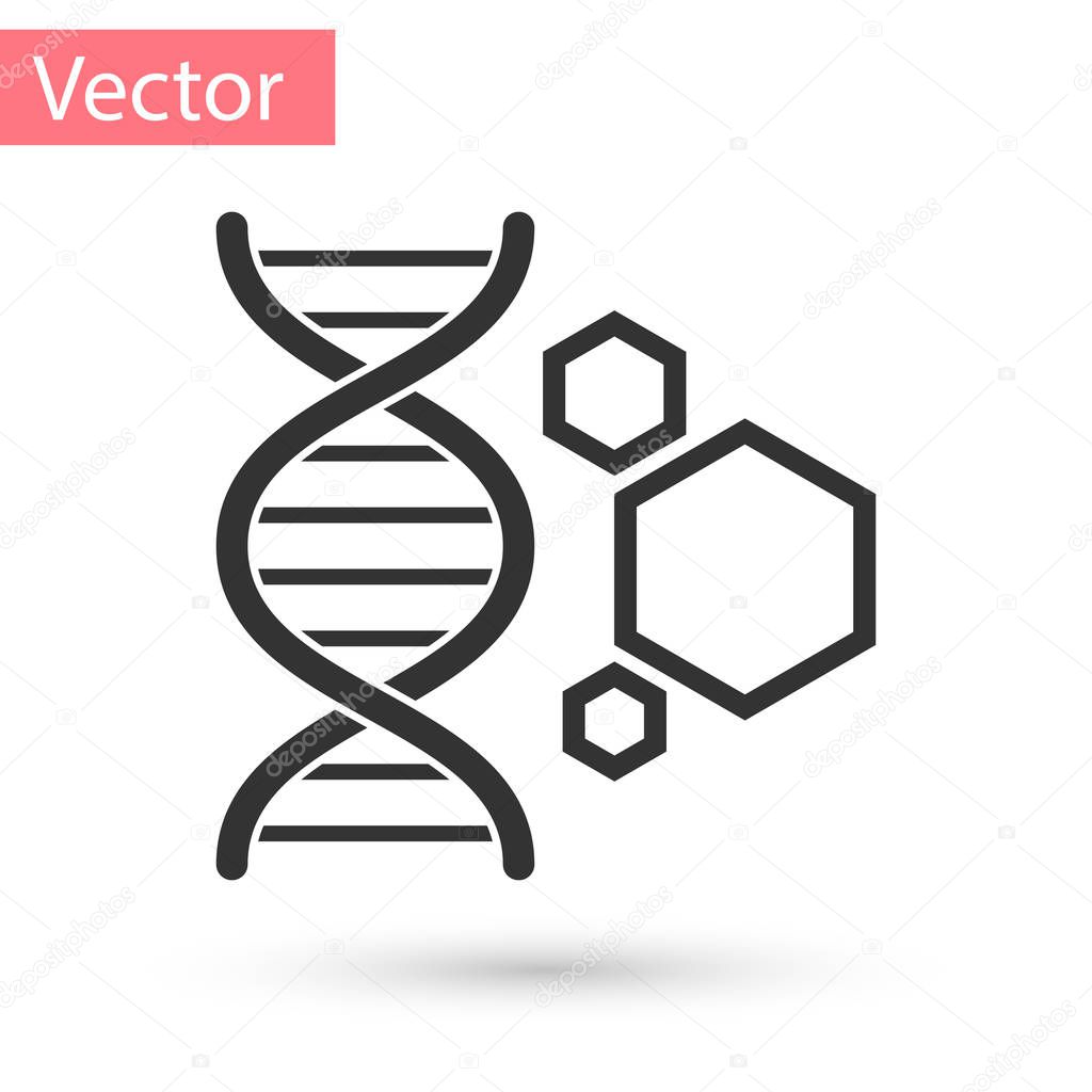 Grey Genetic engineering icon isolated on white background. DNA analysis, genetics testing, cloning, paternity testing. Vector Illustration