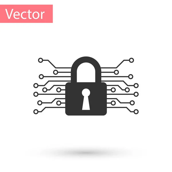 Icône de cybersécurité grise isolée sur fond blanc. Cadenas fermé sur carte de circuit numérique. Concept de sécurité. Protection des données numériques. Illustration vectorielle — Image vectorielle