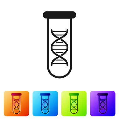 Siyah DNA araştırması, beyaz arka planda izole arama simgesi. Genetik Mühendisliği, genetik testler, klonlama, babalık testi. Renk kare düğmelerinde simgeyi ayarlayın. Vektör Illustration
