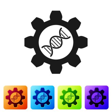 Siyah genetik mühendisliği simgesi beyaz arka planda izole. DNA analizi, genetik testler, klonlama, babalık testi. Renk kare düğmelerinde simgeyi ayarlayın. Vektör Illustration