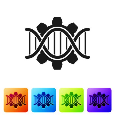 Siyah genetik mühendisliği simgesi beyaz arka planda izole. DNA analizi, genetik testler, klonlama, babalık testi. Renk kare düğmelerinde simgeyi ayarlayın. Vektör Illustration
