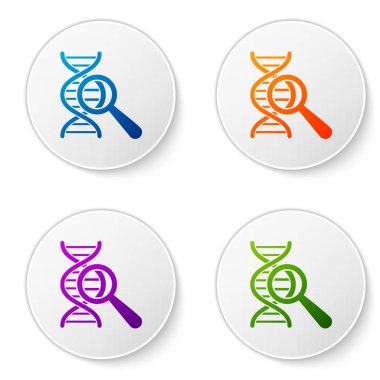 Renk DNA araştırması, beyaz arka planda izole arama simgesi. Büyüteç cam ve DNA zinciri. Genetik Mühendisliği, klonlama, babalık testi. Daire düğmelerinde simgeleri ayarlayın. Vektör Illustration