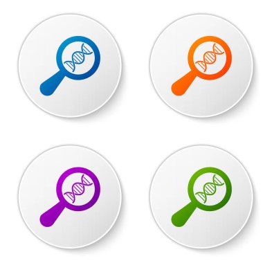 Renk DNA araştırması, beyaz arka planda izole arama simgesi. Büyüteç cam ve DNA zinciri. Genetik Mühendisliği, klonlama, babalık testi. Daire düğmelerinde simgeleri ayarlayın. Vektör Illustration