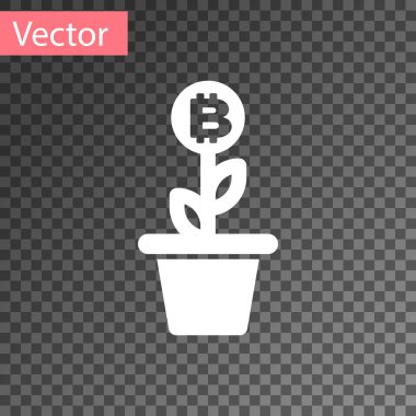 Beyaz Bitcoin bitki şeffaf arka planda izole pot simgesi. İş yatırımı büyüme kavramı. Blockchain teknolojisi, kripto para madenciliği. Vektör Illustration