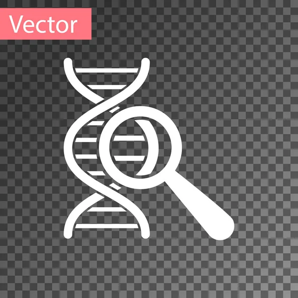 Weiß dna Forschung, Suchsymbol isoliert auf transparentem Hintergrund. Lupe und dna-Kette. Gentechnik, Klonen, Vaterschaftstests. Vektorillustration — Stockvektor