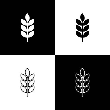 Pirinç, buğday, Mısır, yulaf, çavdar, siyah ve beyaz arka planda arpa simgeleri ile set tahıl simgesi ayarlayın. Buğday ekmeği kulakları. Tarım buğday sembolü. Çizgi, anahat ve doğrusal simge. Vektör Illustration