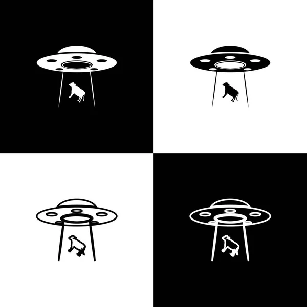 Set UFO rapta ícones de vaca isolados em fundo preto e branco. Um disco voador. Nave espacial alienígena. Objeto voador desconhecido futurista. Linha, contorno e ícone linear. Ilustração vetorial —  Vetores de Stock