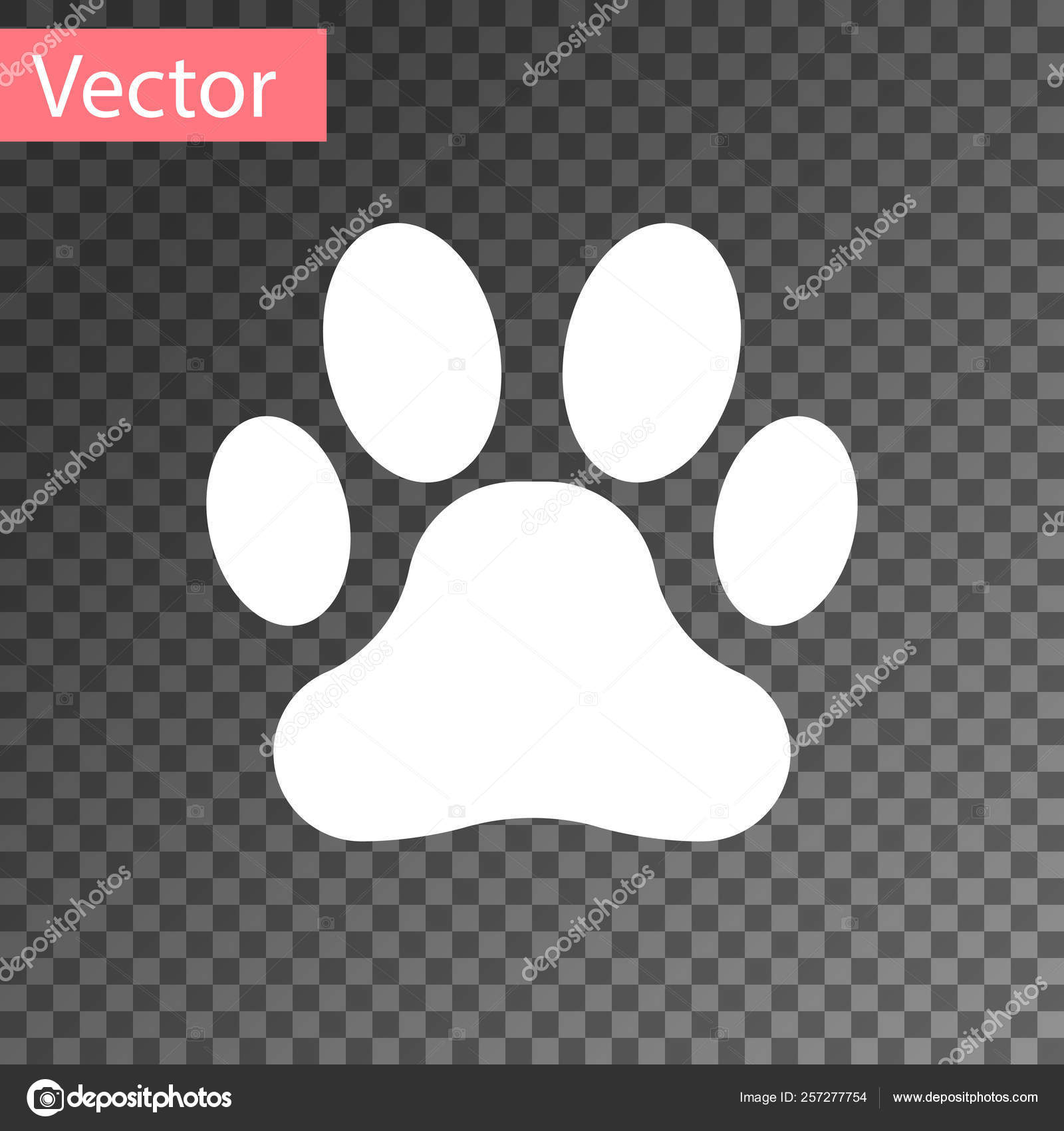 White Paw print icon isolated on transparent background. Dog or cat paw  print. Animal track. Vector Illustration Stock Vector Image by  ©vectorvalera@gmail.com #257277754