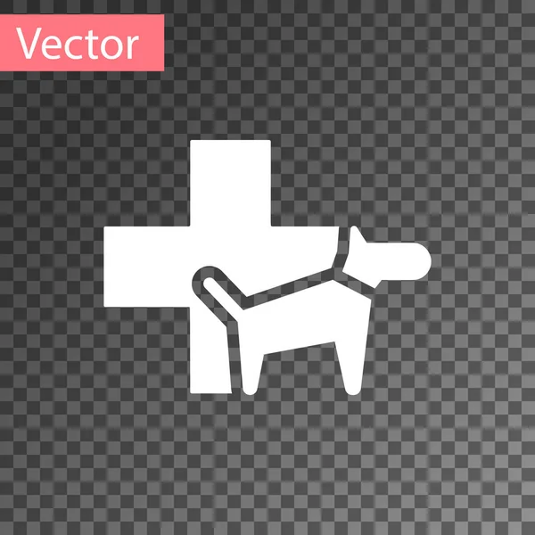 Witte dierenkliniek symbool pictogram geïsoleerd op transparante achtergrond. Kruis met hond veterinaire zorg. EHBO-teken. Vector Illustratie — Stockvector