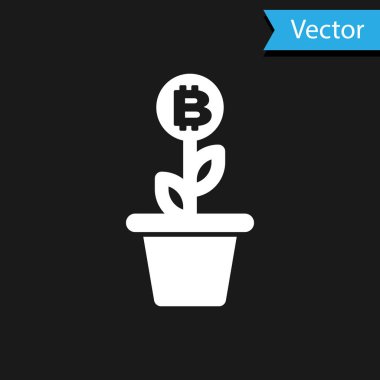 Esrar ikonundaki beyaz Bitcoin bitkisi siyah arka planda izole edilmiş. İş yatırımı büyüme konsepti. Engelleme teknolojisi, kripto para madenciliği. Vektör İllüstrasyonu