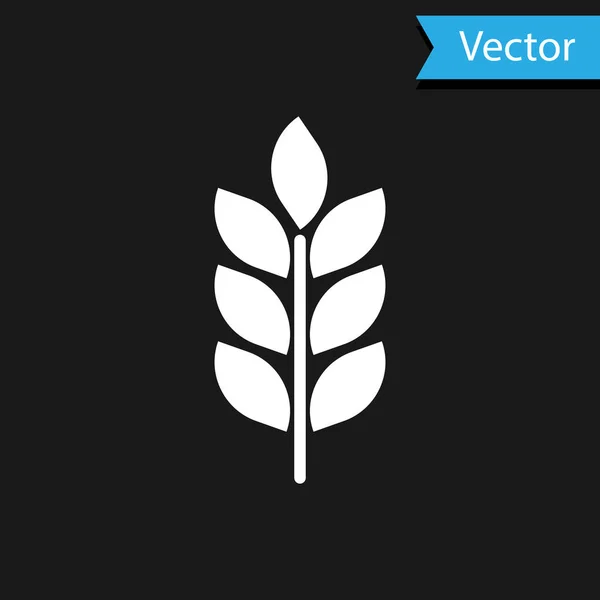 Icono de Cereales Blancos con arroz, trigo, maíz, avena, centeno, letrero de cebada aislado sobre fondo negro. Orejas de pan de trigo símbolos. Agricultura símbolo de trigo. Ilustración vectorial — Vector de stock