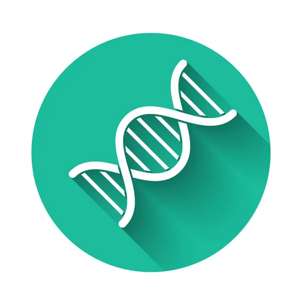 Піктограма символу білої ДНК ізольована з довгою тінь. Кнопка зеленого кола. Векторна ілюстрація — стоковий вектор