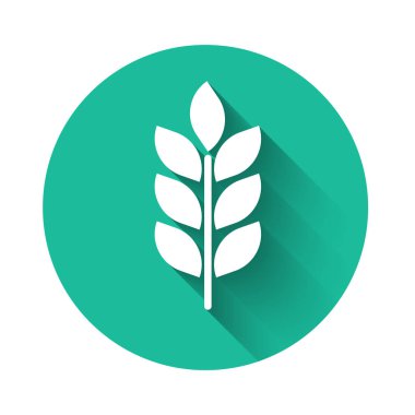 Pirinç, buğday, mısır, yulaf, çavdar ve uzun gölgeli arpa ikonu içeren beyaz mısır ikonu. Buğday ekmeği sembolleri. Tarım buğday sembolü. Yeşil daire düğmesi. Vektör İllüstrasyonu