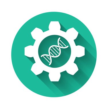 Beyaz Genetik mühendisliği ikonu uzun gölgeli izole edilmiş. DNA analizi, genetik testler, klonlama, babalık testi. Yeşil daire düğmesi. Vektör İllüstrasyonu