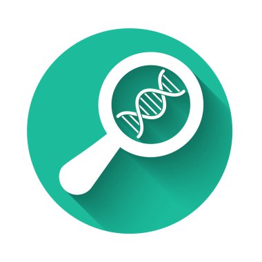 Beyaz DNA araştırması, uzun gölgeli bir arama simgesi. Büyüteç ve DNA zinciri. Genetik mühendisliği, klonlama, babalık testi. Yeşil daire düğmesi. Vektör İllüstrasyonu