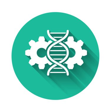 Beyaz Gen düzenleme simgesi uzun gölgede izole edildi. Genetik mühendisliği. DNA araştırması, araştırma. Yeşil daire düğmesi. Vektör İllüstrasyonu
