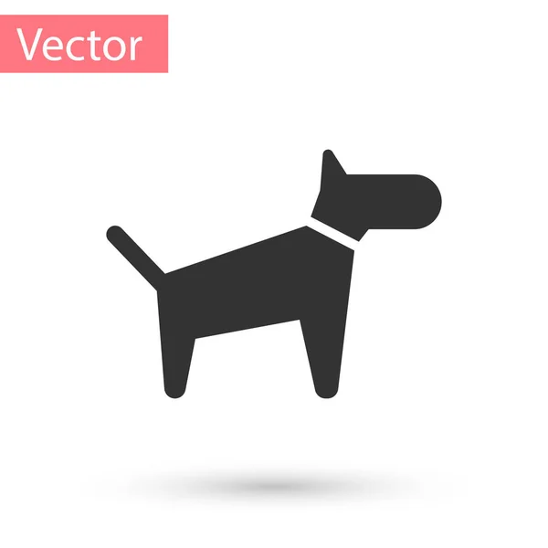 Grey Dog icon isolated on white background. Vector Illustration — Stock Vector