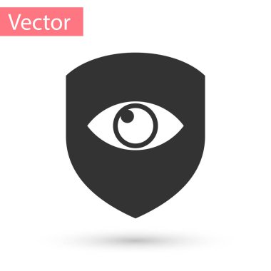 Gri Kalkan ve göz simgesi beyaz arka plan üzerinde izole. Güvenlik, güvenlik, koruma, gizlilik kavramı. Vektör İllüstrasyonu