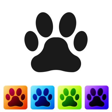 Siyah Pati baskı simgesi beyaz arka planda yalıtılmış. Köpek ya da kedi pençesi izi. Hayvan izi. Simgeyi renk kare düğmelerinde ayarlayın. Vektör İllüstrasyonu