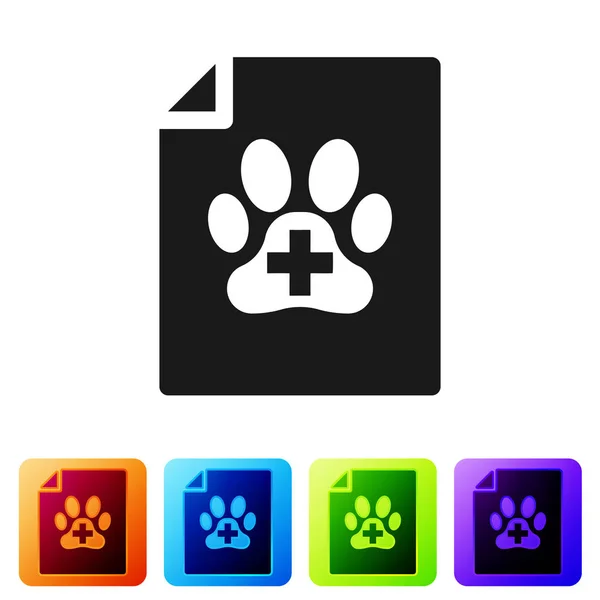 Certificato medico nero per viaggi con icona di cane o gatto isolata su sfondo bianco. Documento per animale domestico. Impronta zampa cane o gatto. Imposta l'icona nei pulsanti quadrati a colori. Illustrazione vettoriale — Vettoriale Stock