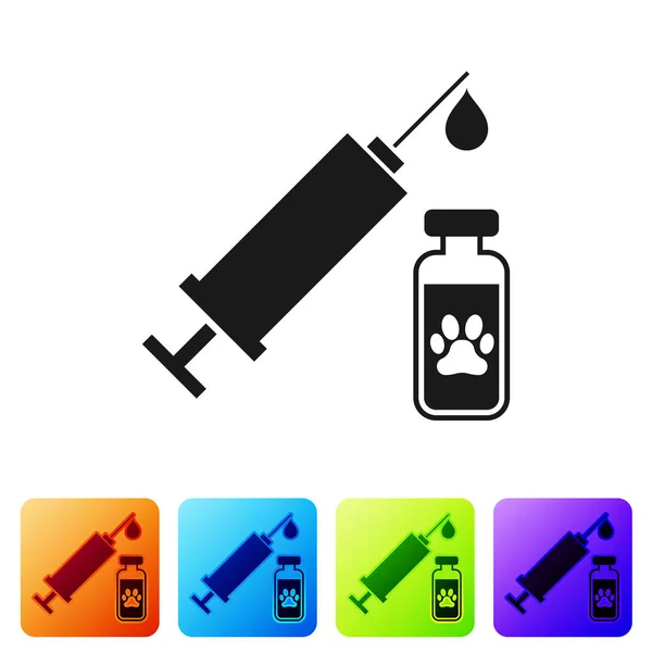 Seringa preta com ícone de vacina animal de estimação isolado em fundo branco. Impressão de pata de cão ou gato. Definir ícone em botões quadrados de cor. Ilustração vetorial — Vetor de Stock