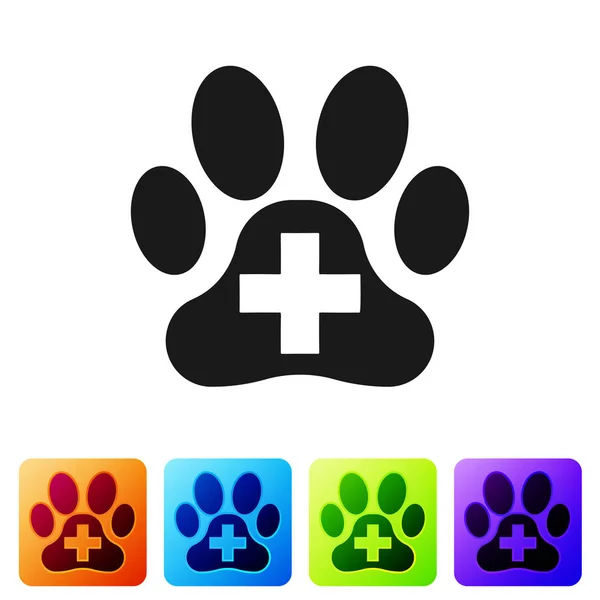 Czarny ikona symbol kliniki weterynaryjnej na białym tle. Krzyż Szpital znak. Stylizowane Paw Print psa lub kota. PET znak pierwszej pomocy. Ustaw ikonę w kolorowych kwadratowych przyciskach. Ilustracja wektorowa — Wektor stockowy