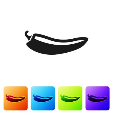 Siyah Acı biber pod simgesi beyaz arka plan üzerinde izole. Tasarım bakkal, mutfak ürünleri, baharat ve baharat paketi, yemek kitabı için. Simgeyi renk kare düğmelerinde ayarlayın. Vektör İllüstrasyonu