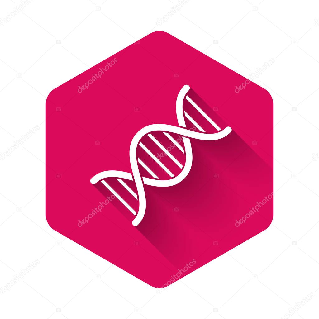 White DNA symbol icon isolated with long shadow. Pink hexagon button. Vector Illustration