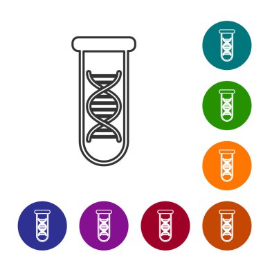Gri DNA araştırması, beyaz arka planda izole edilmiş arama çizgisi simgesi. Genetik mühendisliği, genetik testi, klonlama, babalık testi. Simgeyi renk çemberi düğmelerinde ayarlayın. Vektör İllüstrasyonu