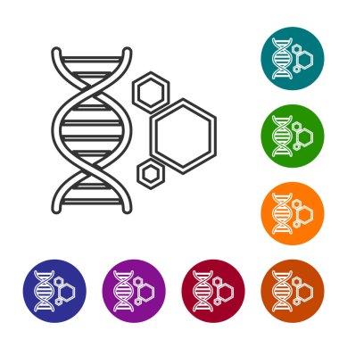 Gri Genetik mühendislik çizgi simgesi beyaz arka plan üzerinde izole. DNA analizi, genetik testi, klonlama, babalık testi. Simgeyi renk çemberi düğmelerinde ayarlayın. Vektör İllüstrasyonu