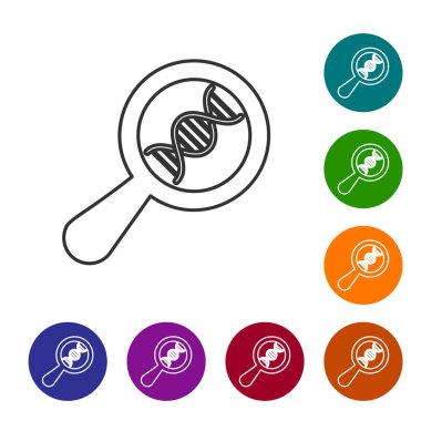 Gri DNA araştırması, beyaz arka planda izole edilmiş arama çizgisi simgesi. Büyüteç ve DNA zinciri. Genetik mühendisliği, klonlama, babalık testi. Simgeyi renk çemberi düğmelerinde ayarlayın. Vektör İllüstrasyonu