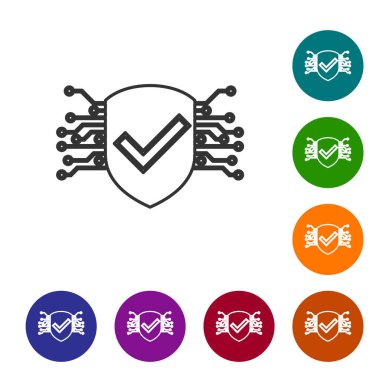 Beyaz arka planda gri Siber güvenlik simgesi. Kontrol işareti işareti olan kalkan. Güvenlik konsepti. Dijital veri koruması. Simgeyi renk çemberi düğmelerinde ayarlayın. Vektör İllüstrasyonu