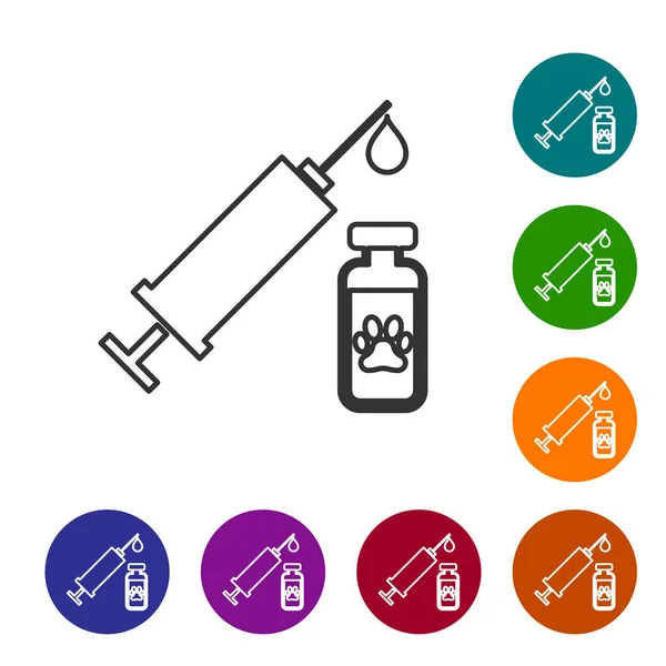 Siringa grigia con icona della linea di vaccino animale domestico isolata su sfondo bianco. Impronta zampa cane o gatto. Imposta l'icona nei pulsanti del cerchio colore. Illustrazione vettoriale — Vettoriale Stock