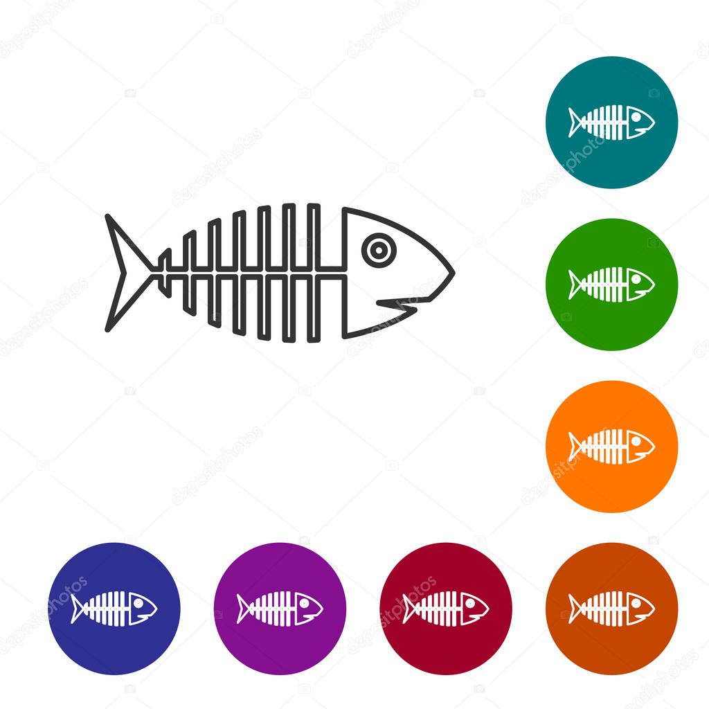 Grey Fish skeleton line icon isolated on white background. Fish bone sign. Set icon in color circle buttons. Vector Illustration