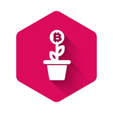 Tencere ikonundaki beyaz Bitcoin bitkisi uzun gölgeli izole edilmiş. İş yatırımı büyüme konsepti. Engelleme teknolojisi, kripto para madenciliği. Pembe altıgen düğmesi. Vektör İllüstrasyonu