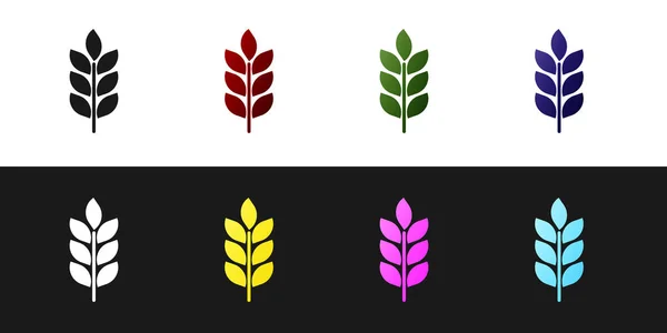 Set granen icon set met rijst, tarwe, maïs, haver, rogge, gerst icoon geïsoleerd op zwarte en witte achtergrond. Oren van tarwe brood symbolen. Landbouw tarwe symbool. Vector illustratie — Stockvector