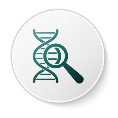 Yeşil DNA araştırması, beyaz arka planda izole edilmiş arama simgesi. Büyüteç ve DNA zinciri. Genetik mühendisliği, klonlama, babalık testi. Beyaz daire düğmesi. Vektör İllüstrasyonu