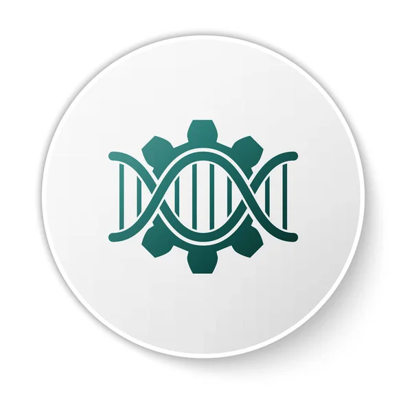Зелена піктограма генетичної інженерії ізольована на білому тлі. Аналіз ДНК, тестування генетики, клонування, тестування батьківства. Кнопка білого кола. Векторна ілюстрація — стоковий вектор