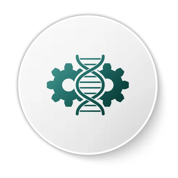 Зелений редагування генів значок ізольований на білому фоні. Генна інженерія. Дослідження ДНК, досліджень. Кнопка "білий круг". Векторна ілюстрація — стоковий вектор