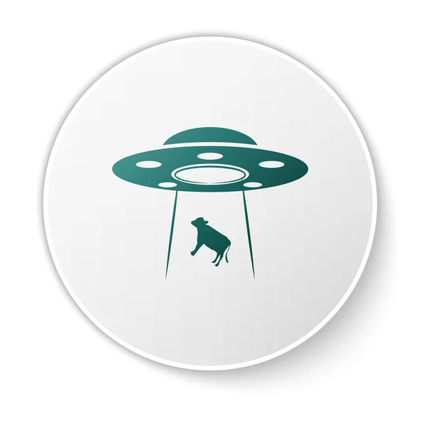 OVNI vert enlève icône de vache isolé sur fond blanc. Soucoupe volante. Un vaisseau spatial extraterrestre. Futuriste inconnu objet volant. Bouton rond blanc. Illustration vectorielle — Image vectorielle