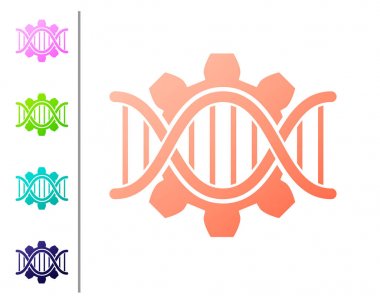 Mercan genetik mühendisliği simgesi beyaz arka planda izole. DNA analizi, genetik testler, klonlama, babalık testi. Renk simgeleri ayarlayın. Vektör Illustration