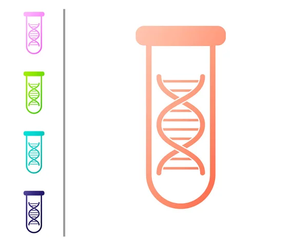 Recherche ADN corail, icône de recherche isolée sur fond blanc. Génie génétique, tests génétiques, clonage, tests de paternité. Définir des icônes de couleur. Illustration vectorielle — Image vectorielle