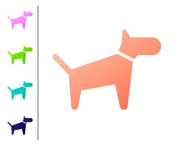 Coral Dog ícone isolado no fundo branco. Definir ícones de cor. Ilustração vetorial — Vetor de Stock