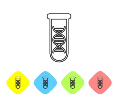 Gri DNA araştırması, beyaz arka planda izole edilmiş arama çizgisi simgesi. Genetik mühendisliği, genetik testi, klonlama, babalık testi. Renk eşkenar dörtgen düğmelerinde simgeyi ayarlayın. Vektör İllüstrasyonu