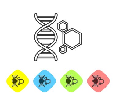 Gri Genetik mühendislik çizgi simgesi beyaz arka plan üzerinde izole. DNA analizi, genetik testi, klonlama, babalık testi. Renk eşkenar dörtgen düğmelerinde simgeyi ayarlayın. Vektör İllüstrasyonu