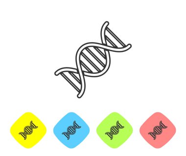 Gri DNA sembol çizgi simgesi beyaz arka plan üzerinde izole. Renk eşkenar dörtgen düğmelerinde simgeyi ayarlayın. Vektör İllüstrasyonu
