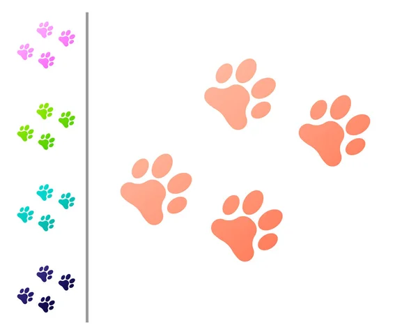 Coral Paw Print Icon isolerad på vit bakgrund. Hund eller katt tass avtrycken. Djur spår. Ange färg ikoner. Vektor illustration — Stock vektor